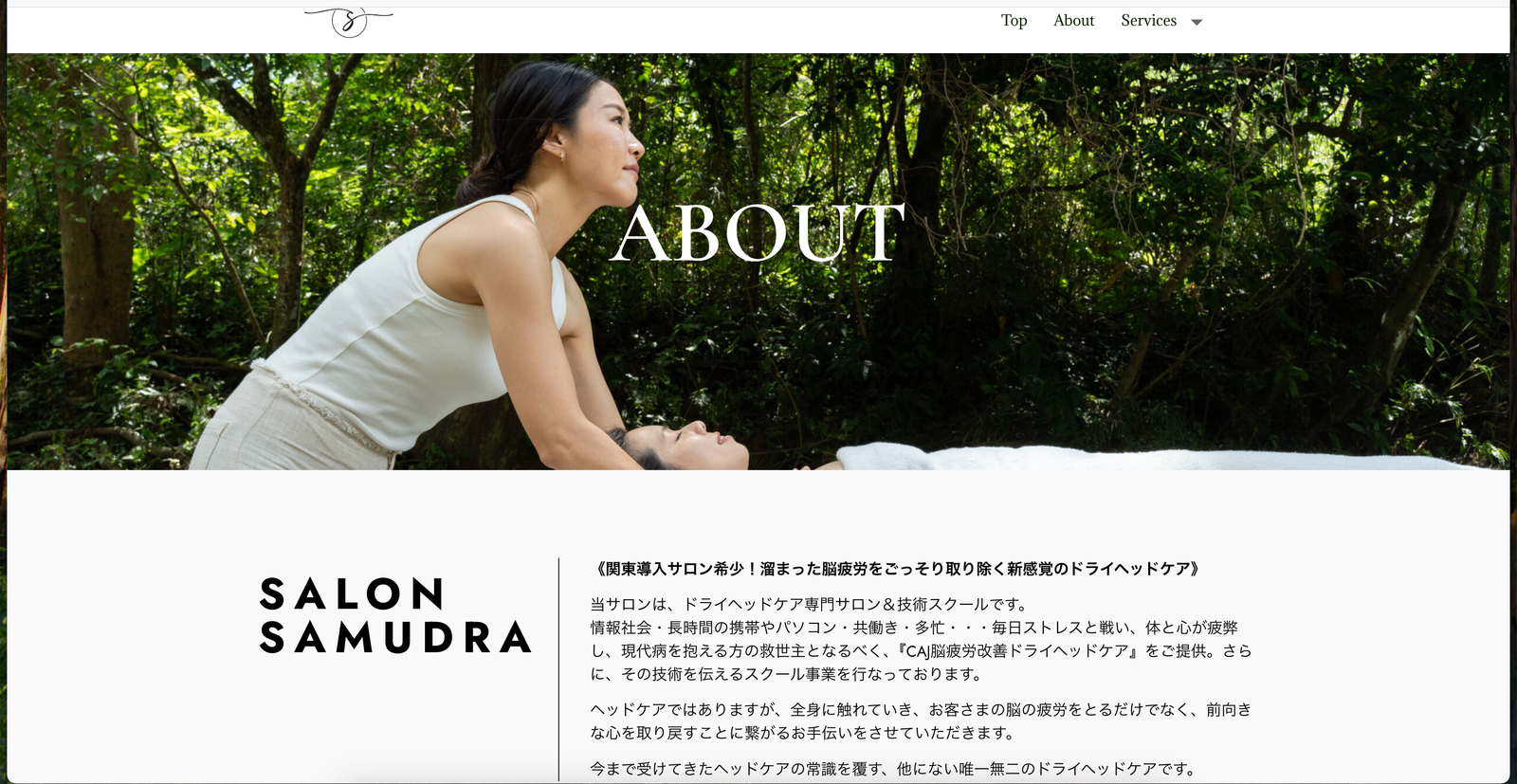 jasa website development